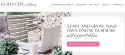 Gold City Ventures Review